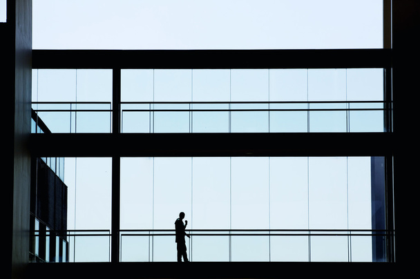 Pohled na siluetu mladých podnikatelka v moderní kancelářské budově - Fotografie, Obrázek
