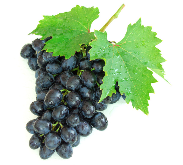 Blauwe druiven met groene blaadjes - Foto, afbeelding