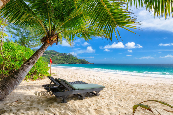 Plage de sable vide tropicale sur l'île de Mahe avec chaises longues, Seychelles
 - Photo, image