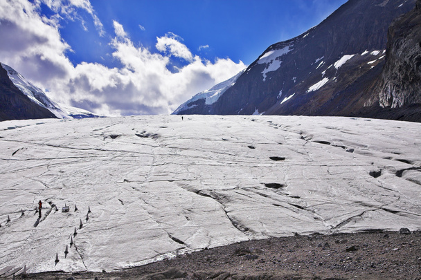 Huge majestic glacier - Zdjęcie, obraz