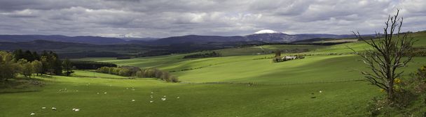 Панорама Квінс дивиться на пошуки - Фото, зображення