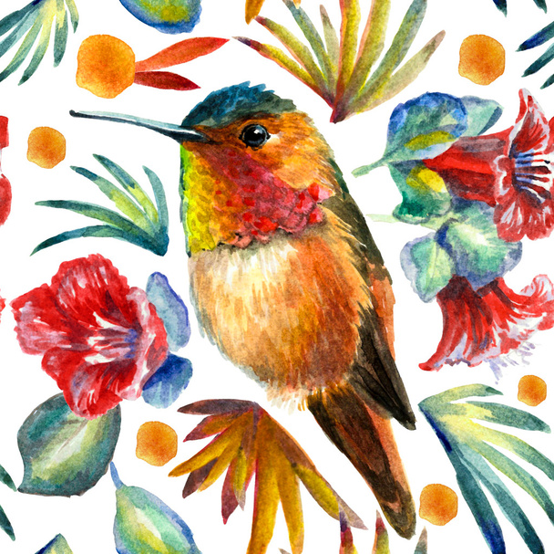 Hummingbirds and flowers pattern. Watercolor composition  - Foto, Imagen