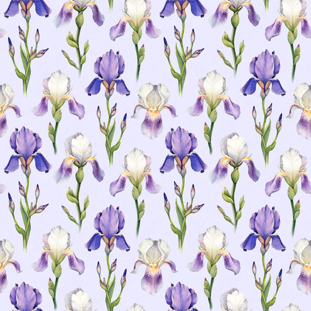 Watercolor iris flowers pattern - Фото, изображение