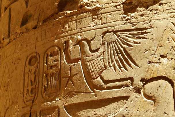 Luxor script - Photo, Image