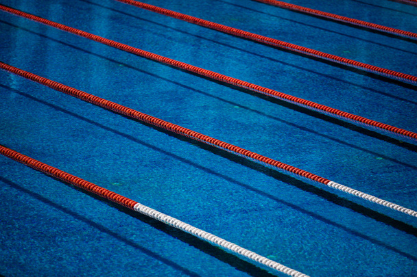 Piscina olímpica
 - Foto, Imagen