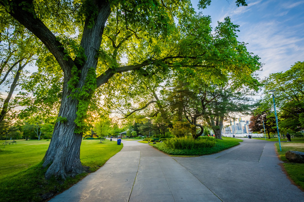 Trees and walkways at Centre Island, in Toronto, Ontario. - Fotografie, Obrázek