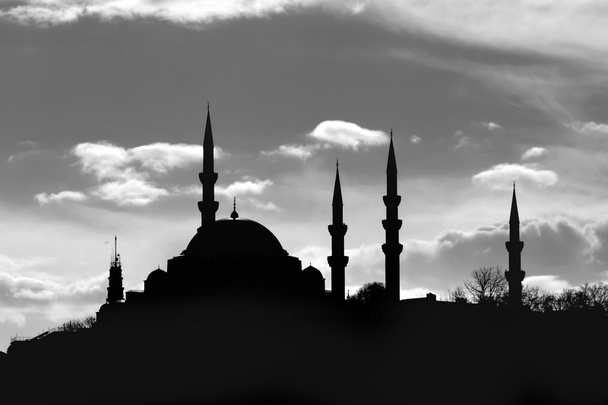 イスタンブールのスルタン・スレイマン・モスク - 写真・画像