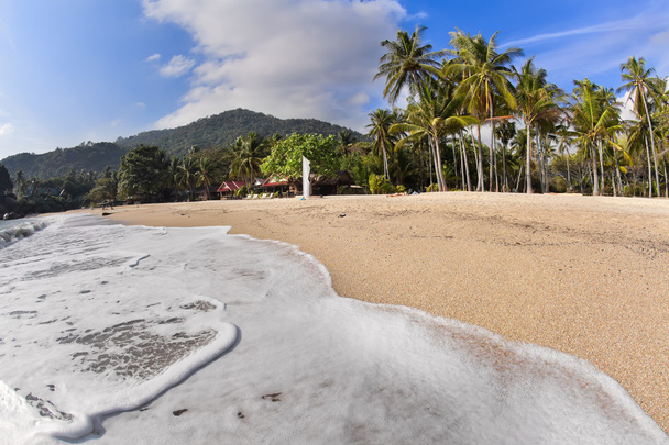 Tropical beach with coconut palms - Fotó, kép