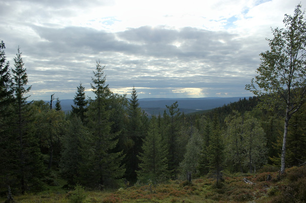 View From Haestskaeret - Zdjęcie, obraz