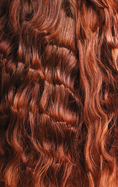 Gros plan sur les cheveux bouclés rouges
 - Photo, image