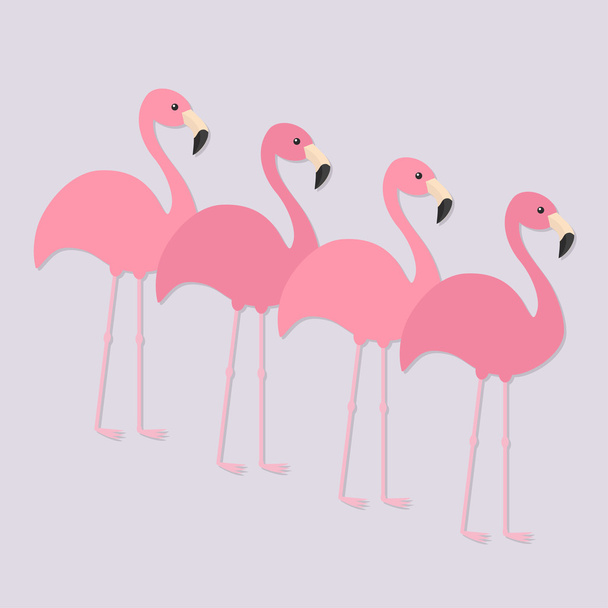 Four pink flamingo set.  - Vector, afbeelding