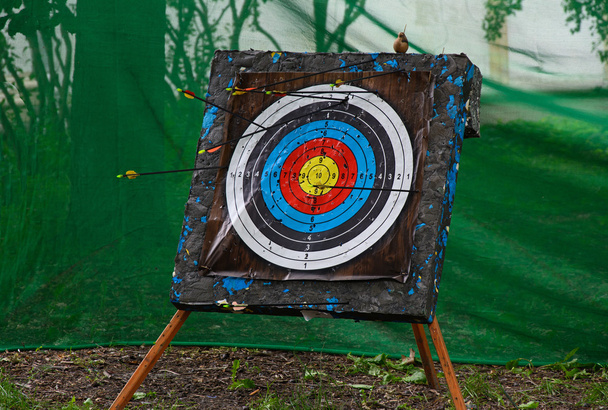колір цільової стрільби з лука
 - Фото, зображення
