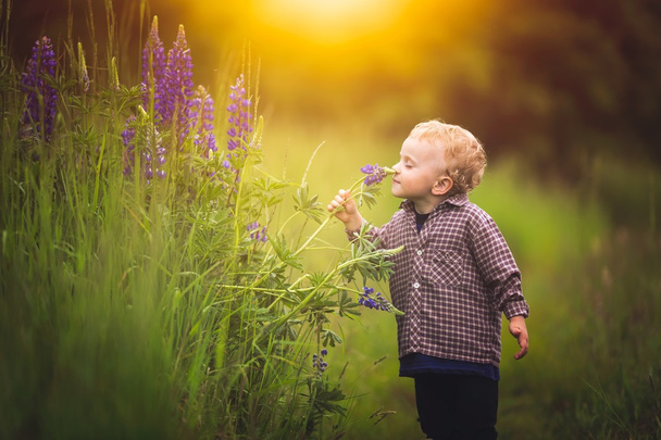 Roztomilý malý chlapec hraje venkovní na letní slunce. - Fotografie, Obrázek