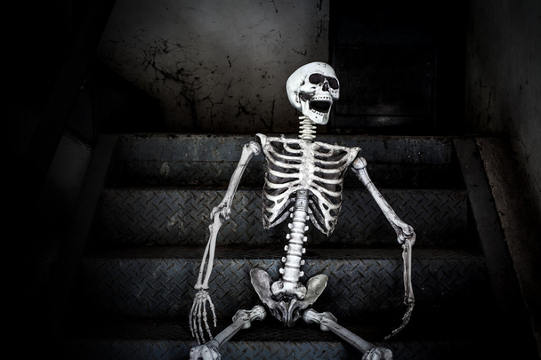 Nature morte, squelette humain assis dans les escaliers et riant, dans un bâtiment abandonné effrayant
. - Photo, image