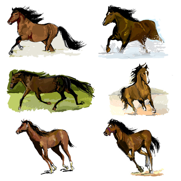 白い背景の上の茶色の馬のセット - ベクター画像