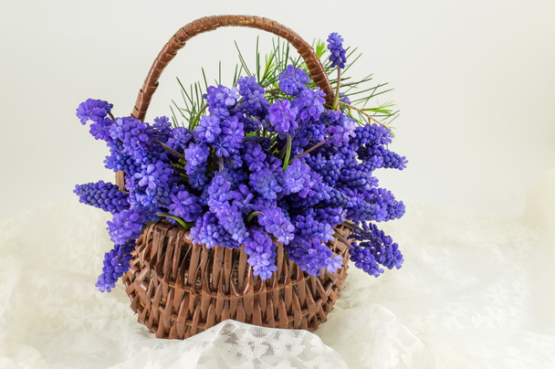 Hyacinth flowers in a basket. Romantic present - Photo, Image