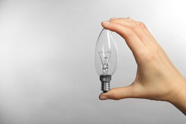 Woman hand holding bulb - Foto, afbeelding