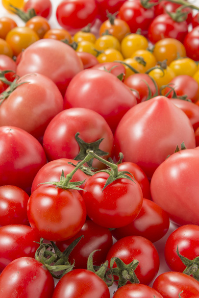 Es una fotografía de tomates frescos y mini tomates
. - Foto, Imagen