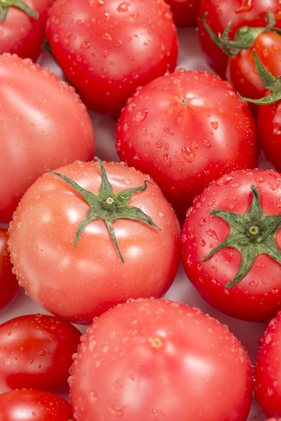 Se on valokuva tuoreita tomaatteja ja mini tomaatteja
. - Valokuva, kuva