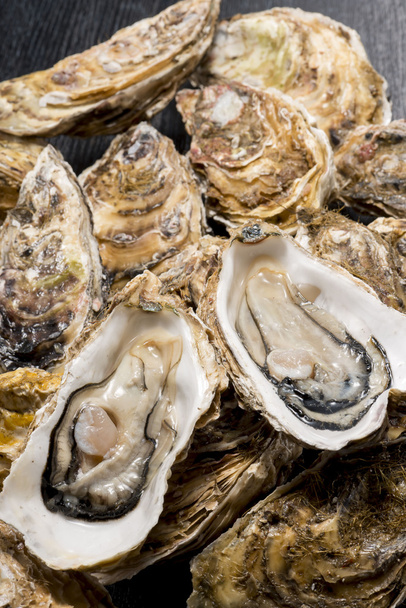 Raw oysters of seafood is very fresh and delicious food - 写真・画像