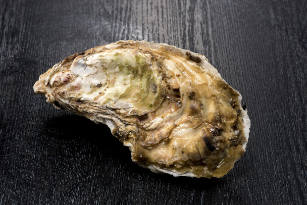 Oyster　 Shell　　Seafood - Fotoğraf, Görsel
