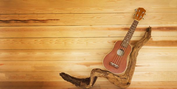 ukulele a větvika ve starožitném stylu s souvislými dřevěnými pozadí - Fotografie, Obrázek