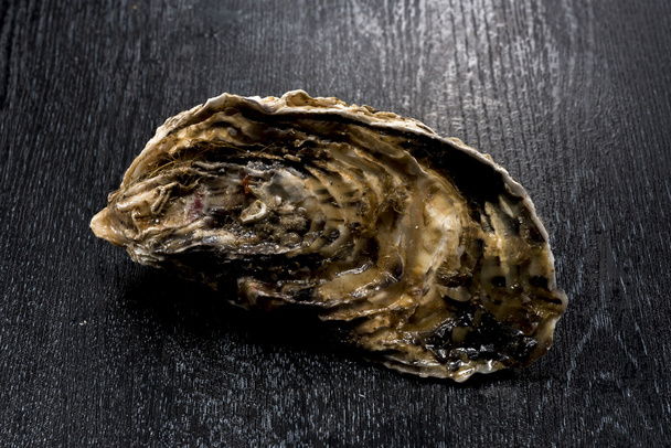 Oyster　 Shell　　Seafood - Фото, зображення