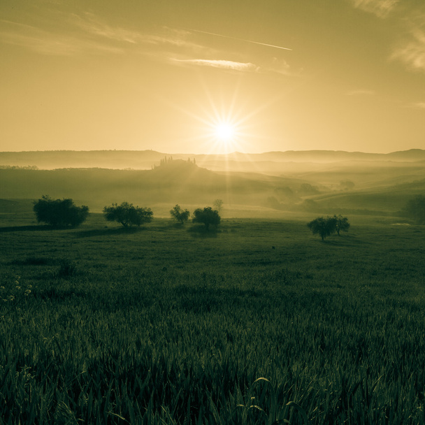 Morgensonne in der Toskana - Foto, Bild