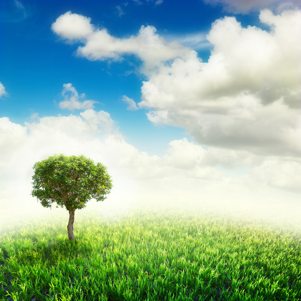 青い空の下で単独で木とグリーン フィールド - 写真・画像