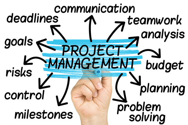 project management tag cloud isolated - Foto, immagini