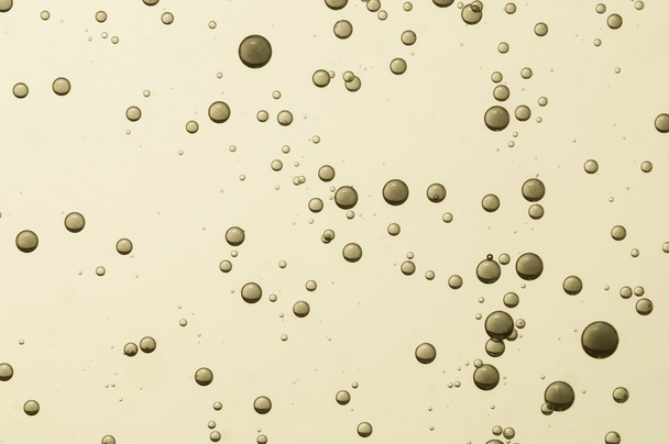 Мазути бульбашки
 - Фото, зображення
