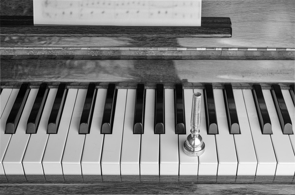Мундштук труби на клавішах піаніно, крупним планом
 - Фото, зображення