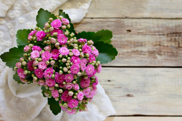 Kalanchoe flowering pink bouquet top view, space for text. - Photo, Image