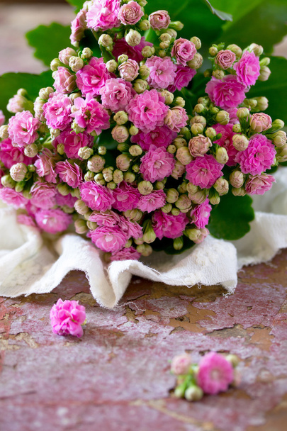 Kalanchoe ramo de flores de color rosa sobre fondo vintage, selectiv
 - Foto, Imagen