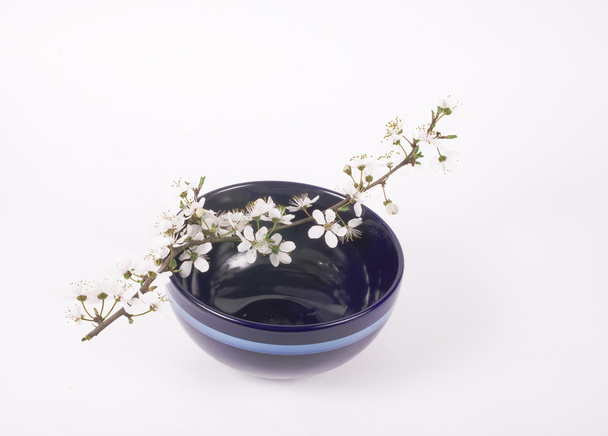 μήλο λευκό λουλούδι στο μπολ σκούρο μπλε Κίνας - Φωτογραφία, εικόνα