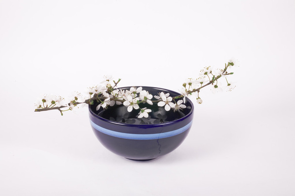 white apple flower on dark blue china bowl - Фото, изображение