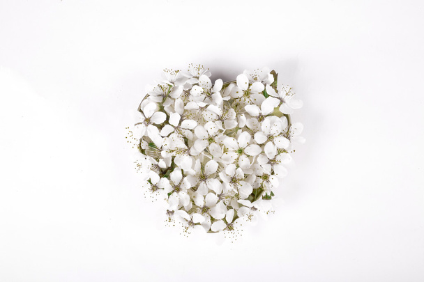 Apple λουλούδι στην καρδιά μπολ σε λευκό φόντο - Φωτογραφία, εικόνα