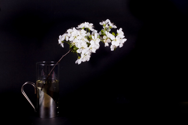 white spring apple flower on black background - Фото, изображение