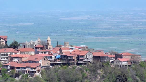 Άποψη της πόλης του Sighnaghi και κοιλάδα Alazani. Σαφή ηλιόλουστη καιρικές συνθήκες - Πλάνα, βίντεο