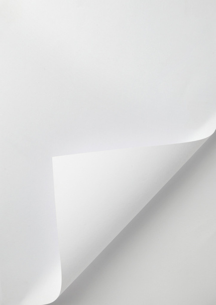 Notebook office blanco papier met curl - Foto, afbeelding