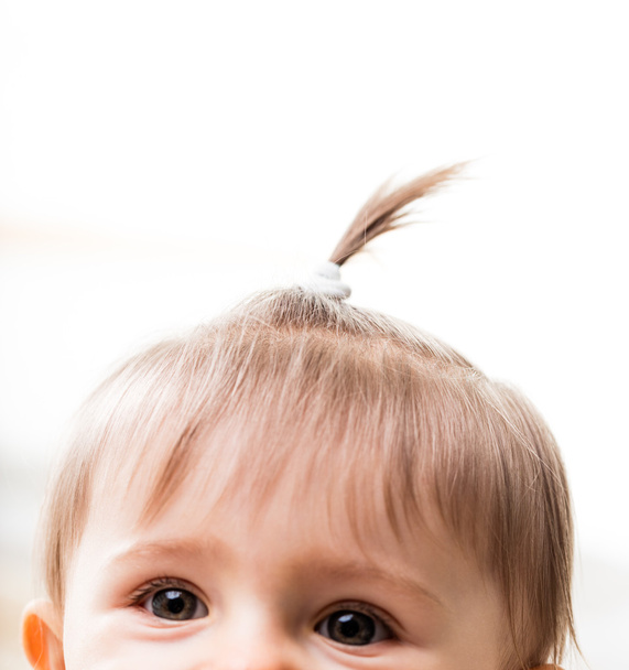pigtail de uma criança muito jovem
 - Foto, Imagem