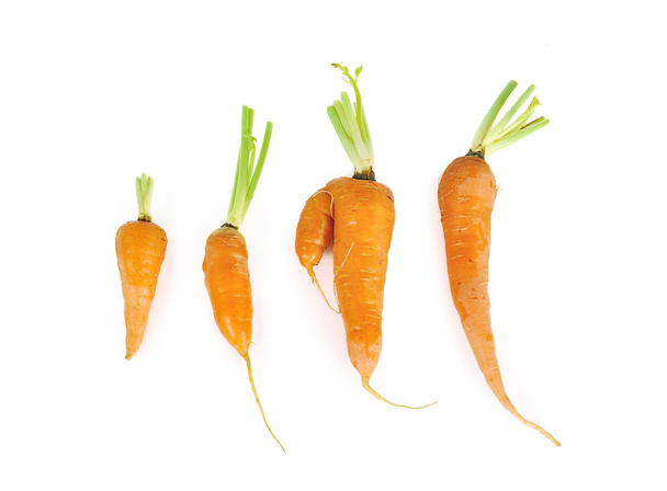 carottes en gros plan isolé sur fond blanc
 - Photo, image