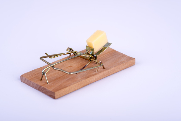 Mousetrap com queijo
 - Foto, Imagem