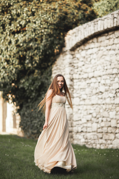 Beautiful girl, model with long hair posing in park near great wall. Krakow Vavel - Foto, Imagen