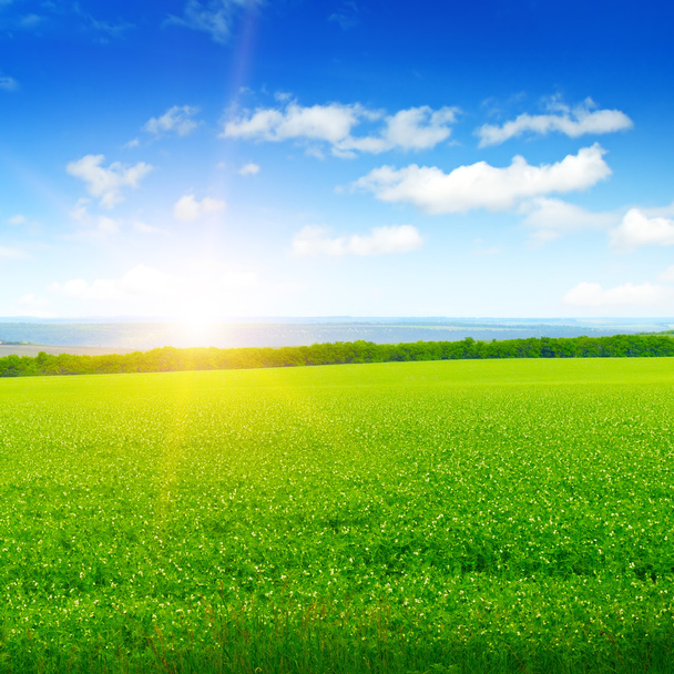 field, sunrise and blue sky - Zdjęcie, obraz