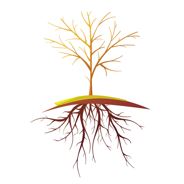 Δέντρο με ρίζα απομονωμένη ρετρό κινούμενα σχέδια εικόνα - Διάνυσμα, εικόνα