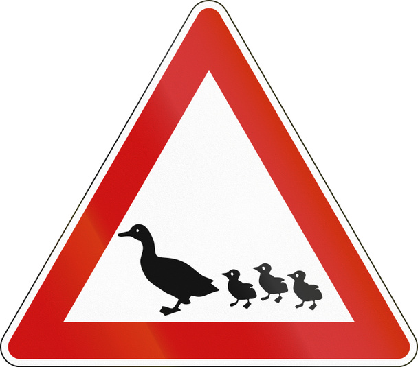 Alman işareti nden yoldan geçen ördekler hakkında uyarı - Fotoğraf, Görsel