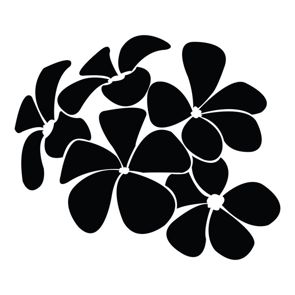 frangipani silhouettes for design vector - Vector, Image