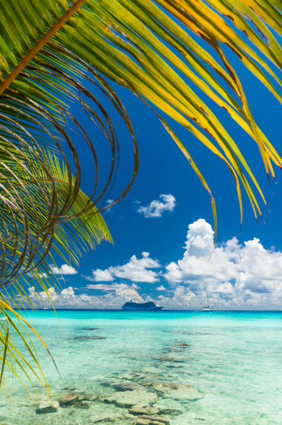 Vista paradisiaca dell'atollo di Rangiroa, Polinesia Francese
 - Foto, immagini