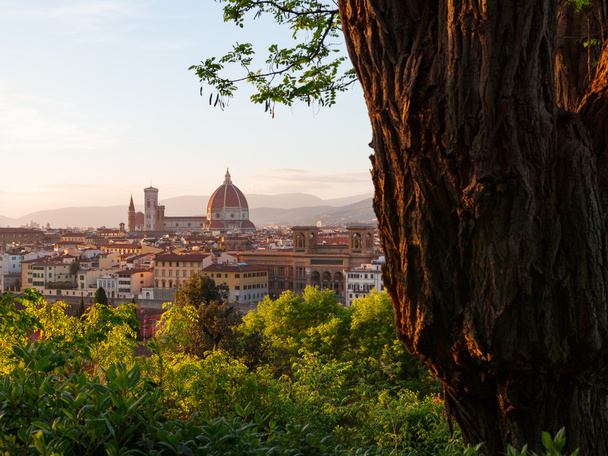Hermosas vistas del paisaje urbano de Florencia en el fondo Cathedra
 - Foto, imagen